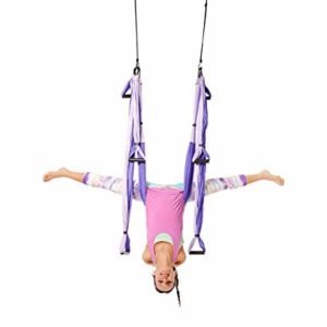 YogaBody Yoga Trapeze